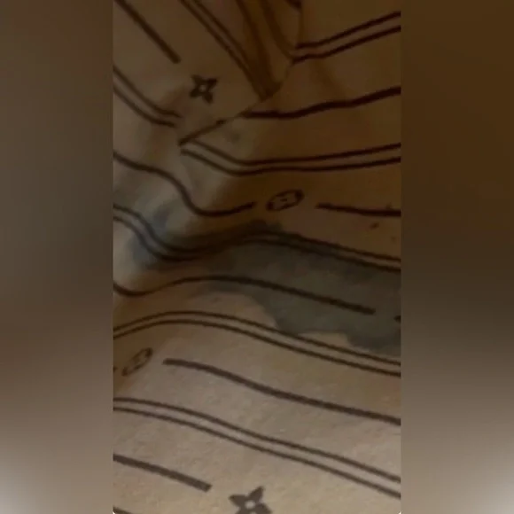 Louis Vuitton Delightful Monogram Bag
(Authentic) - Picture 11 of 11